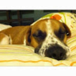 Meet your Posher, Carrie